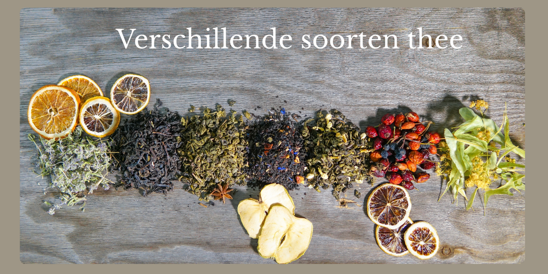 Welke theesoorten zijn er? Ontdek Witte, Groene, Zwarte en meer!