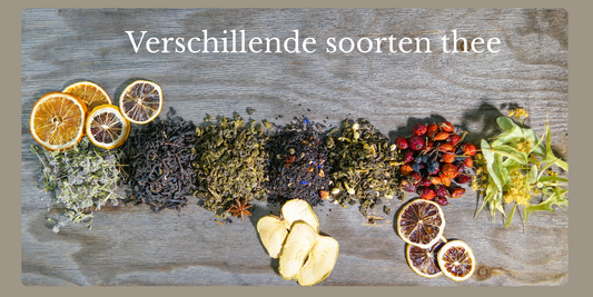 Welke theesoorten zijn er? Ontdek Witte, Groene, Zwarte en meer!